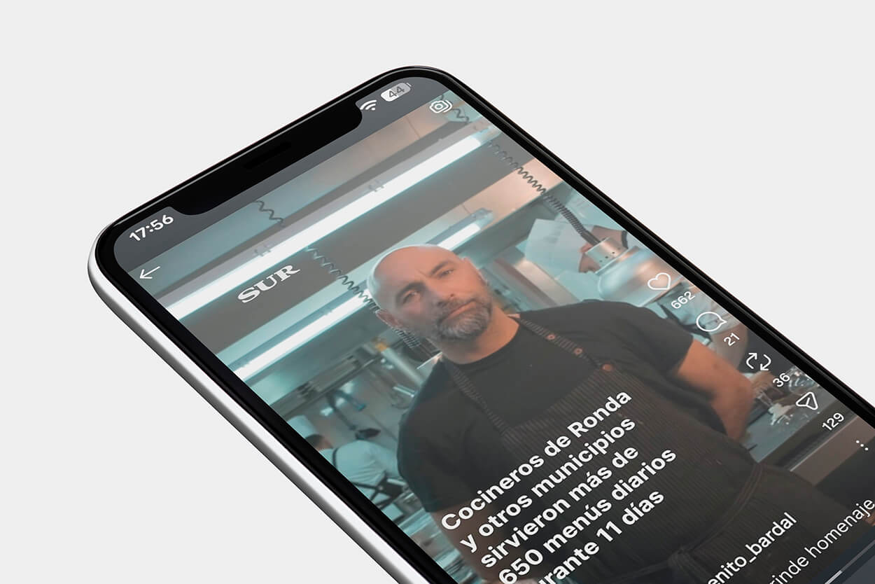 Noticia en Diario Sur - Instagram